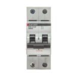Mitsubishi BHW-T10 2P Type B 63A
MCB 2-pole, Rated current 63A, Operating characteristic B